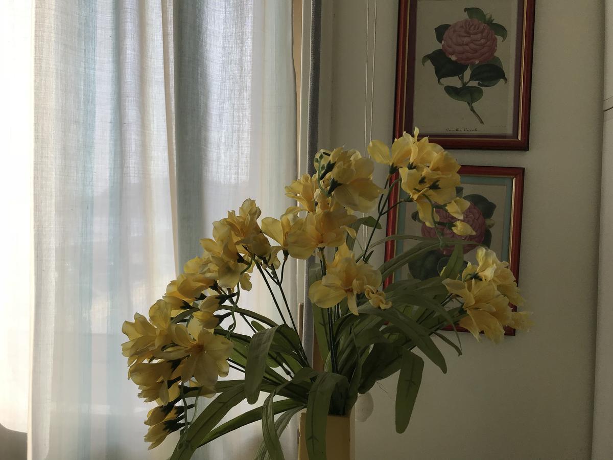 勒托阳尼Casa Del Sole公寓 外观 照片